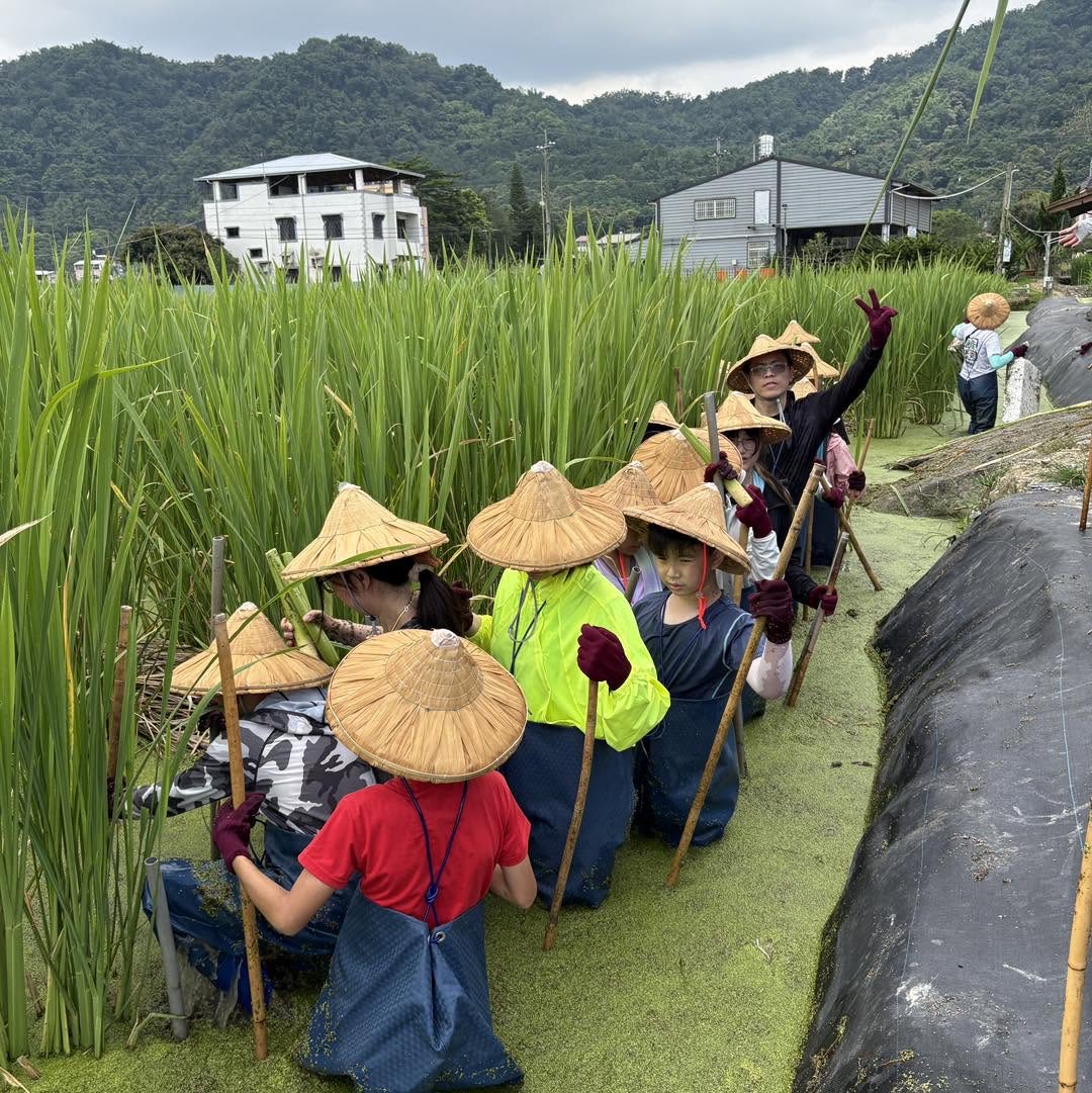 魚筍共生茭遊趣 — 青蛙裝採筍體驗